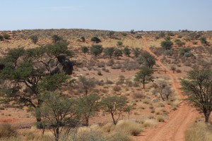 200701 Namibia 0280