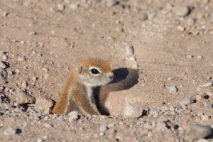 200701 Namibia 0395