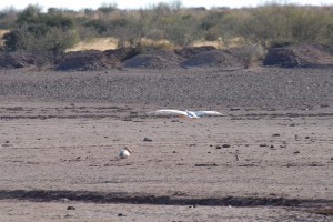 200701 Namibia 0409