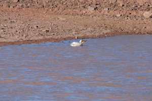 200701 Namibia 0422