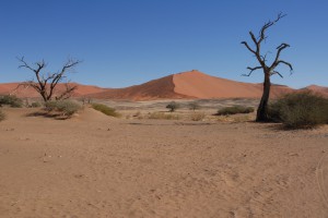 200701 Namibia 0646