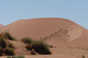 200701 Namibia 0770