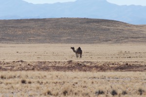 200701 Namibia 0841