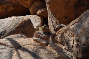 200701 Namibia 1282  