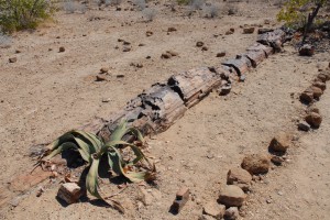 200701 Namibia 1326  