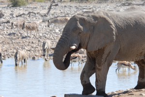 200701 Namibia 1659  