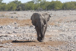 200701 Namibia 1683  