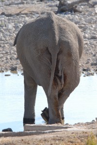 200701 Namibia 1757  