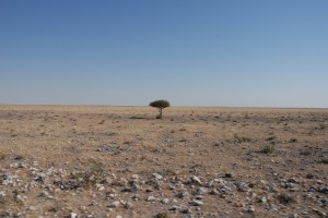 200701 Namibia 2386  