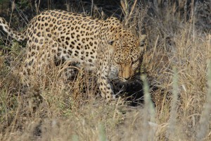 200701 Namibia 2827  