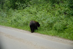 20090612085818 Kanada 1220