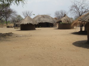 20100930123951 Sambia 0988