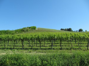 20100524173228 Italien 0703  