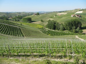 20100524174243 Italien 0715  