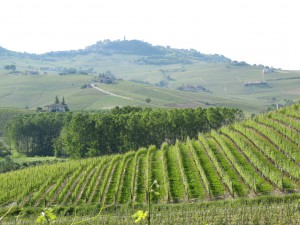 20100524180135 Italien 0722  