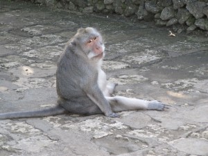 20120515155914 Bali 2576