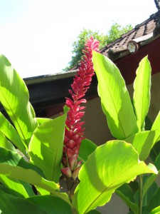 20120516125846 Bali 2634