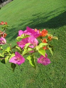 20120517090541 Bali 2667