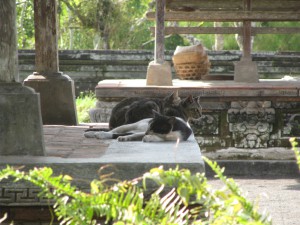 20120517092110 Bali 2699