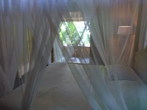 20120517122321 Bali 0358