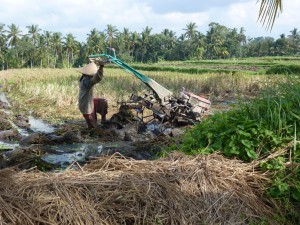 20120520092601 Bali 0437