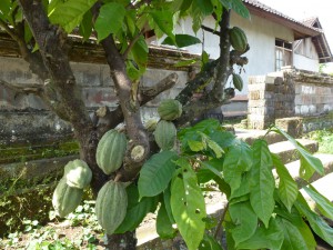 20120520113031 Bali 0448