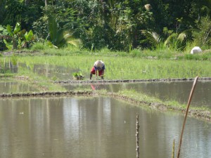 20120520114317 Bali 0452