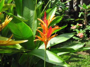 20120520120715 Bali 2917