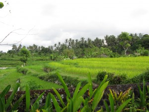 20120525135216 Bali 3152  