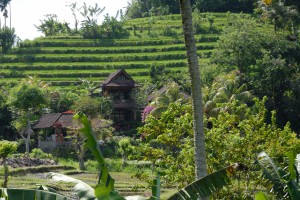 20120526110458 Bali 5951  