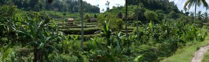 20120526110532 Bali 5953 p1  