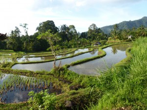 20120527164741 Bali 0636  