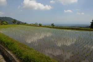 20120528110612 Bali 5983  