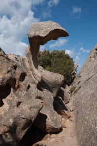 20140911134524 Italien Sardinien 8155