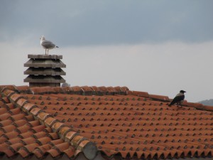 20140911183601 Italien Sardinien 0773