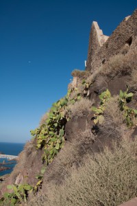 20140913091755 Italien Sardinien 8167