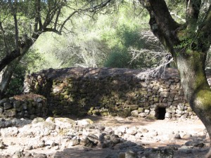 20140916100714 Italien Sardinien 0849   