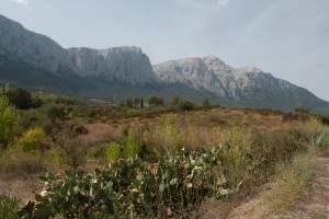 20140918112230 Italien Sardinien 8279   