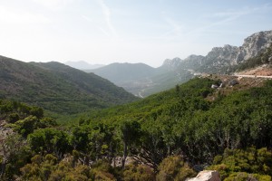 20140920100549 Italien Sardinien 8342   