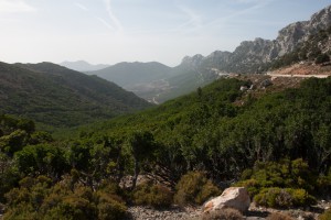 20140920100622 Italien Sardinien 8343   