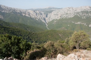 20140920102552 Italien Sardinien 8347   