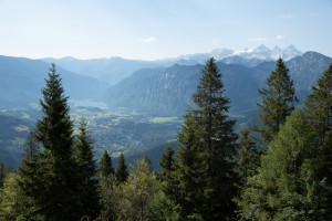 20200728092331 AT Salzkammergut 8215    