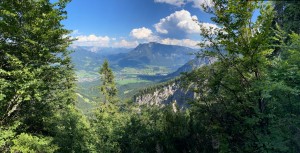 20200728155024 AT Salzkammergut 1359    