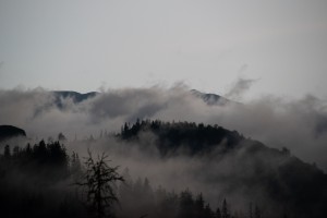 20200728202245 AT Salzkammergut 1105    