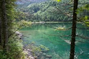 20200729123837 AT Salzkammergut 1163    