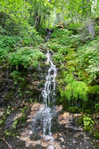 20200729125006 AT Salzkammergut 1167    