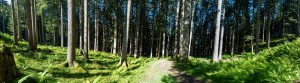 20200730093524 AT Salzkammergut 8275-Pano    