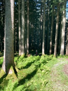 20200730093633 AT Salzkammergut 1363    