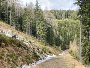 20210520110632_AT_Steiermark_0083