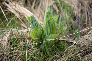 20210520113755_AT_Steiermark_0075